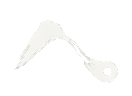 ShanSight Logo
